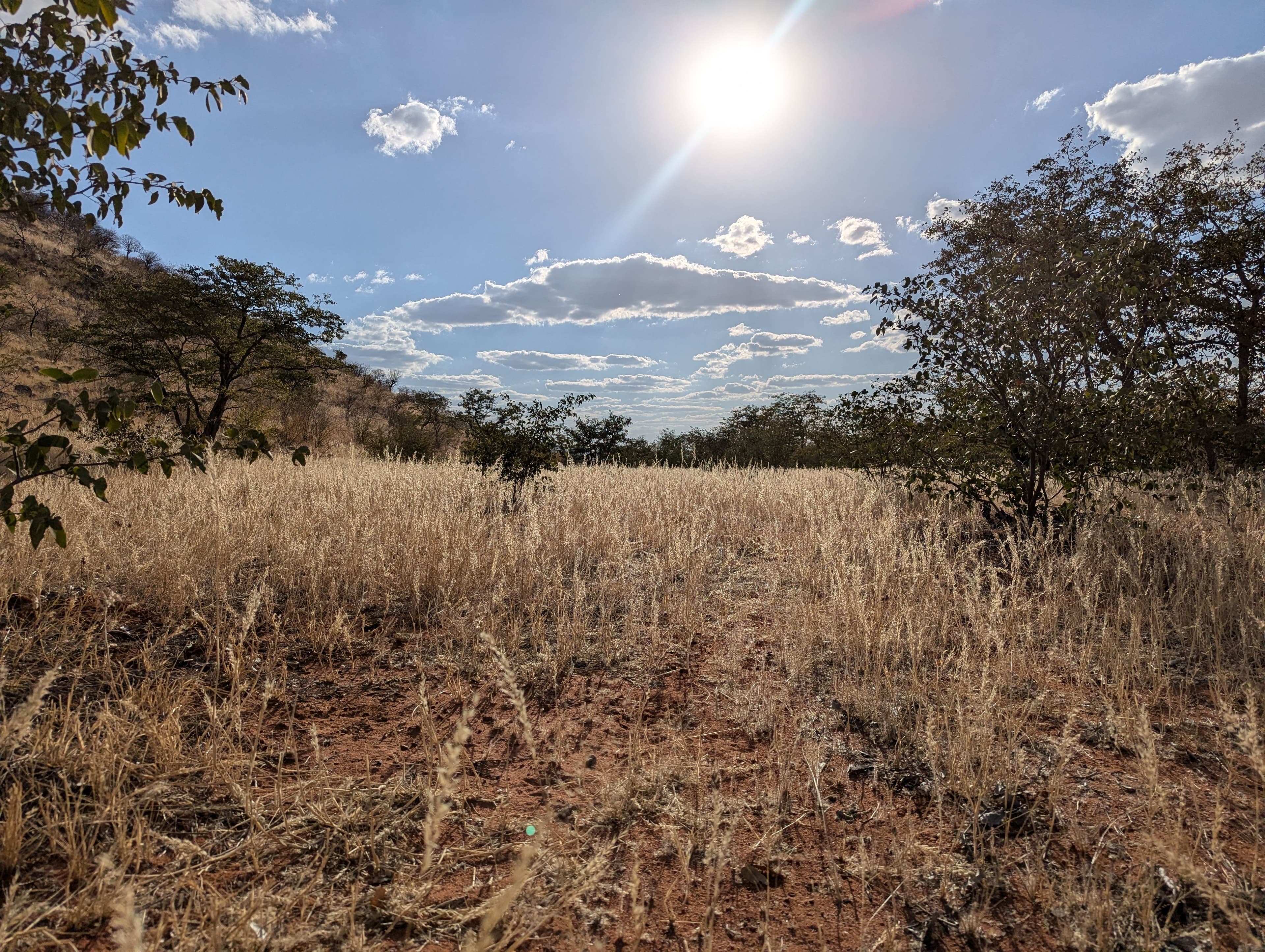 Regenerating the Kunene Highlands with Conserve banner